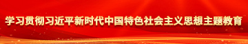 操女人B穴学习贯彻习近平新时代中国特色社会主义思想主题教育